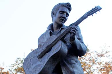 Memphis City Tour + Elvis Experience with entry to Graceland