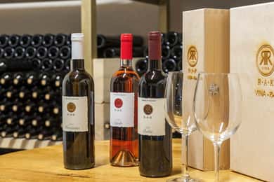 Au départ de Split ou de Trogir : Parc national de Krka et dégustation de vins