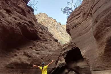 Maspalomas: Barranco de las Vacas, Caves, Farmhouse Tour