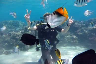 Sharm:Introduction dive from the Shore & PADI Courses