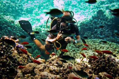 Von Sharm oder Dahab aus: Blue Hole & Canyon Sea Taucherlebnis