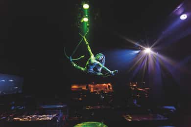 Magaluf: Pirates Adventure Dinner Show Ticket