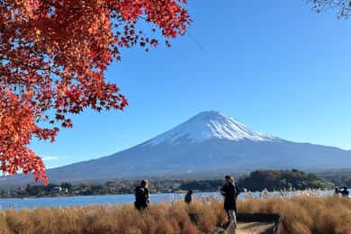 Tokyo: Mt.Fuji Private day Trip with English Speaking Driver