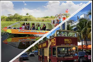 Miami: Aventura en los Everglades y tour con paradas libres en autobús grande