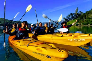 Akaroa: Electric Mountain Bike and Sea Kayak Adventure