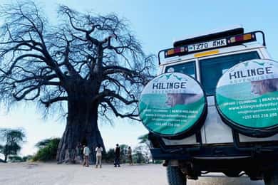Best 1-day ngorongoro crater special big 5-Tanzania safari
