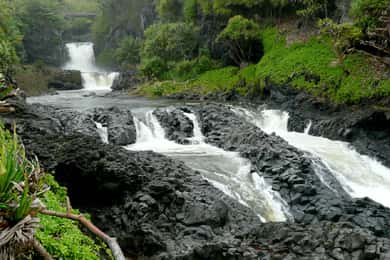 Maui: Full Day Hiking Tour with Lunch