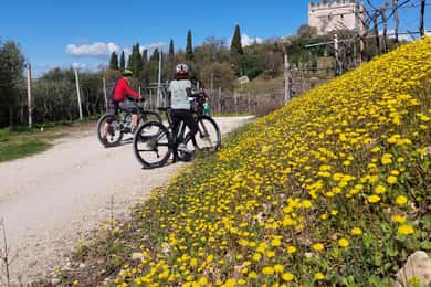 Soave: E-Bike Tour with Wine Tasting in a Local Winery