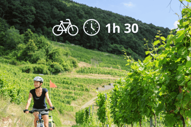 Perugia: passeio de bicicleta e degustação de vinhos nas vinhas