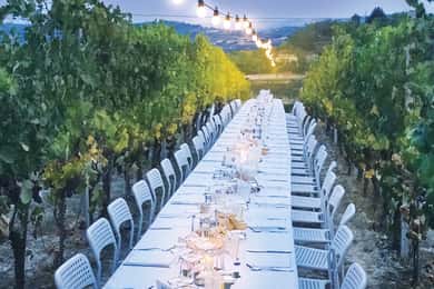 Montepulciano: Tuscan Winery Tour with Wine Tasting & Meal