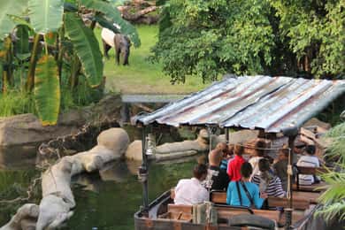 Leipzig: 1-dags hop-on-hop-off-bus og Leipzig Zoo-billet