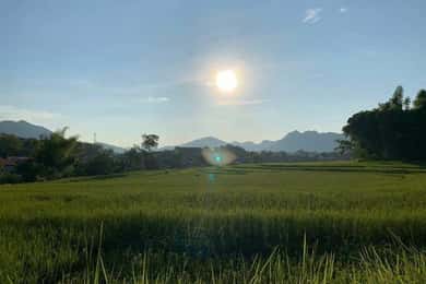 Luang Prabang: Evening Cooking Class & Local Baci Ceremony