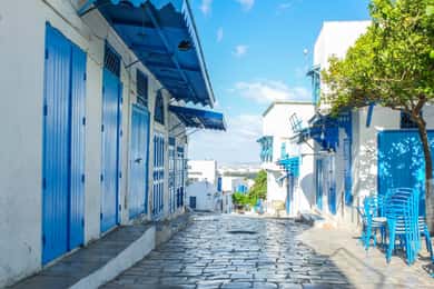 From Hammamet: Medina, Bardo, Carthage & Sidi Bousaid tour