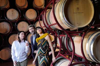Bolgheri: Winery Tour with Wine Tasting