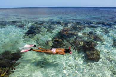 Roatán: Daniel Johnson's Monkey/Sloth Sanctuary and Snorkel