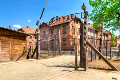 Cracovia: Auschwitz Tour guiado con servicio de recogida del hotel opcional