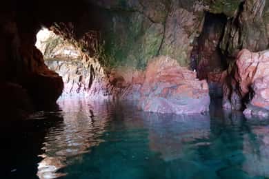 Peniche: Berlengas Roundtrip and Glass-Bottom Boat Cave Tour
