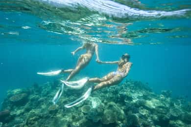 Townsville or Magnetic Island: Great Barrier Reef Day Trip