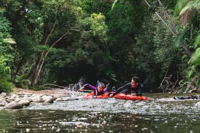 Mossman Gorge: Day Tour with River Drift Experience