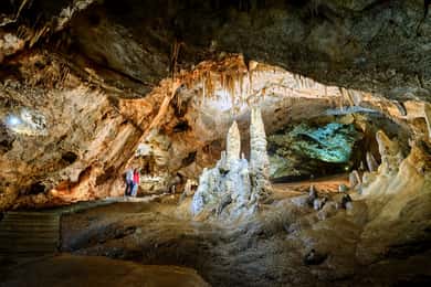 Cetinje: Eintrittskarte für die Lipa-Höhle mit Führung