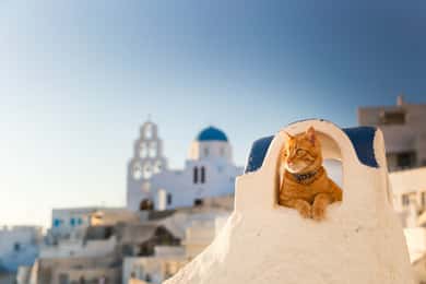 Santorini: Servicio privado de chófer de 4 horas