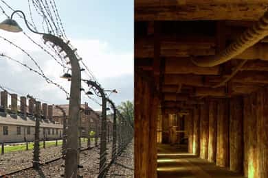 Auschwitz-Birkenau & Salt Mine Tour in One Day from Krakow