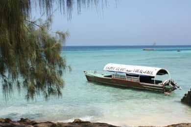 Zanzibar: Dagsutflykt till den skyddade ön Chumbe med lunch