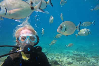 Bodrum: Scuba Diving Trip with Lunch