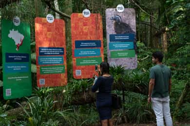 Guided Tour of Iguazu Falls and Bird Park