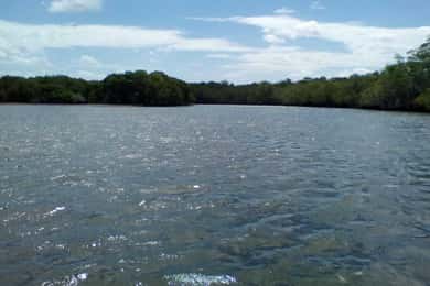 Tamarindo: Safari in barca al Parco Nazionale Las Baulas