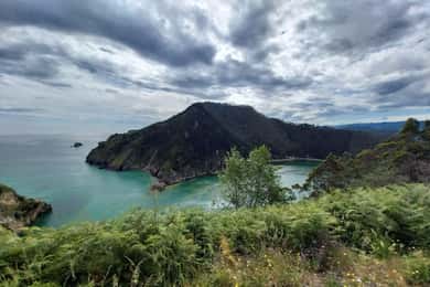 From Santander or Torrelavega: Soplao Cave Excursion
