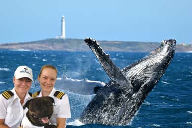 From Augusta: Whale Watching Award Winning Tour