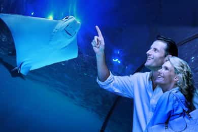 Visite guidée de l'aquarium au crépuscule avec dîner à 3 plats