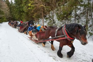 Slitta a cavallo per 2-3 ore con sorgenti termali o Zakopane