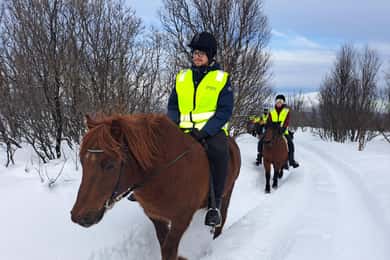 Tromsø: Lyngen Horse Winter Riding Experience