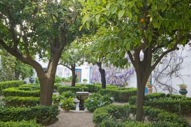 Bilhete de entrada para os jardins e pátios do Palácio de Viana
