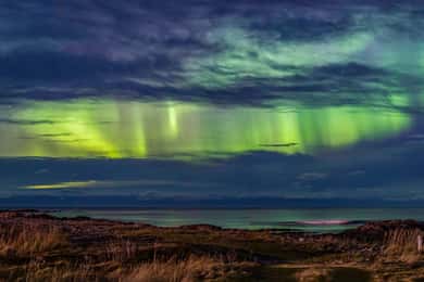 From Svolvær: Guided Northern Lights Tour by Van