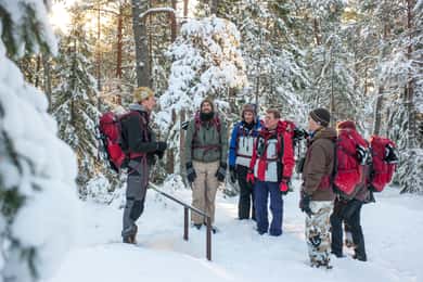 Stockholm: Vinter snöskovandring heldags vandring