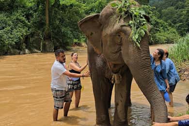 De Deli: Excursão ao Taj Mahal e Elephant SOS com transferências.