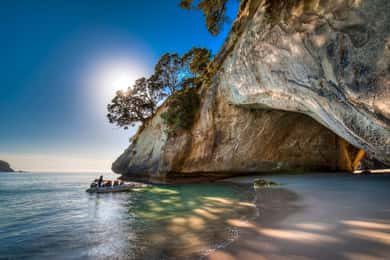Auckland: Cathedral Cove & Hot Water Beach Small-Group Tour