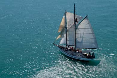 Airlie Beach: Providence Whitehaven Day Sail with Snorkeling