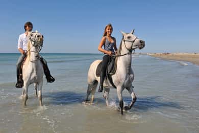Bodrum: Reitausflug mit Hoteltransfer