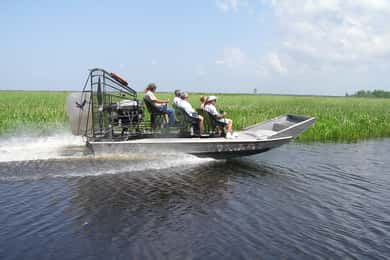 Da New Orleans: gita in airboat nella palude, 2 tour delle piantagioni e pranzo