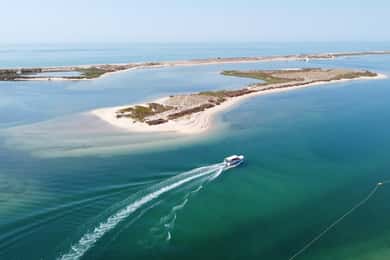 Da Fuzeta: Passeio de barco de 2 horas pelo sudeste da Ria Formosa