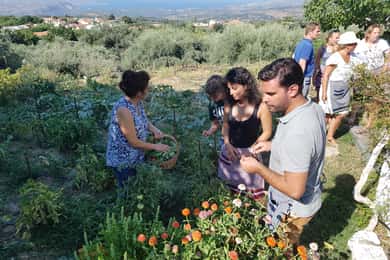 Chania: Workshop om kretisk vin, olivenolje og matlaging
