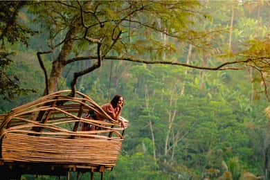 Bali: Małpi Las, Tegalalang, Uluwatu i wycieczka taneczna Kecak