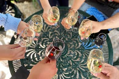 Oporto: Cata de vinos con tour a pie de tapas