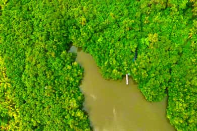 Balapitiya: Madu River Boat Safari and Cinnamon Garden visit
