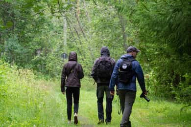 Oulu: Hietasaari-Wildtierwanderung mit Naturguide