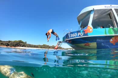 Pula Verudela: Glass-Bottom Boat and Swim with Fish Tour
